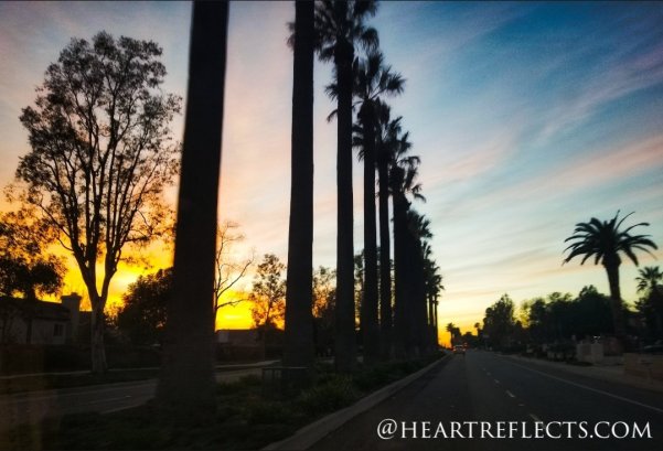 screenshot_20200106-175637_photoshop express778286444946684549..jpg