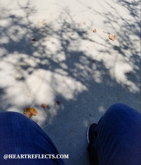 screenshot_20200110-004804_photoshop express774115255760243393..jpg